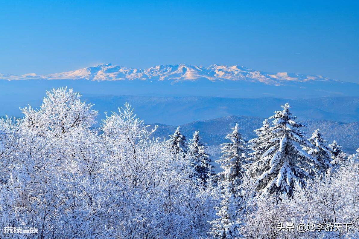 长白山在哪里(长白山壮美的风景下究竟蕴含了什么危险)-图片11